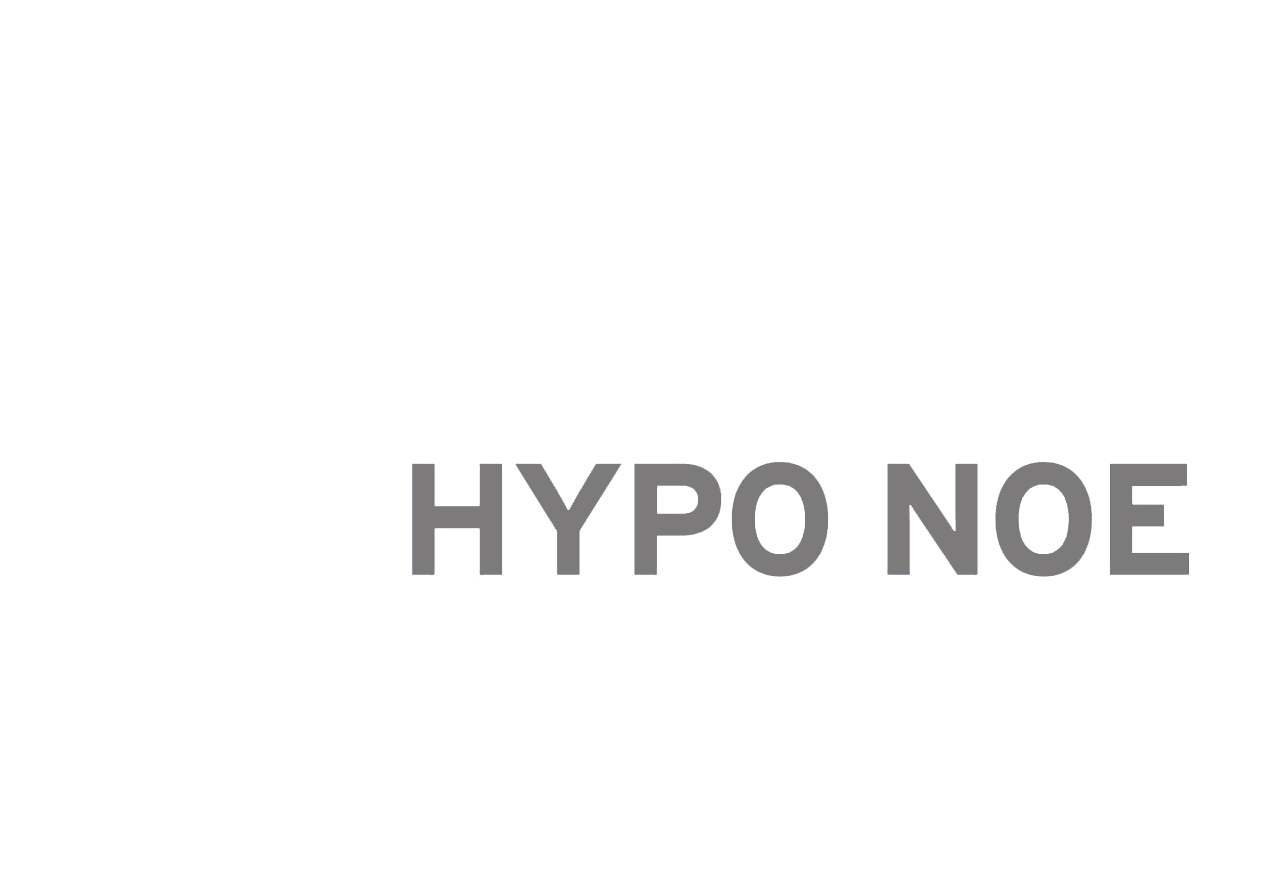 HYPO NOE
